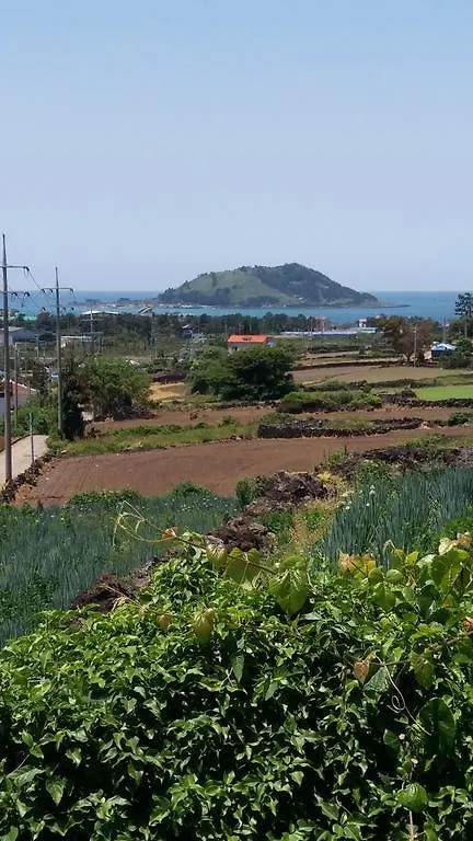 Jeju Sea The Biyang Pension 0*,  Sydkorea